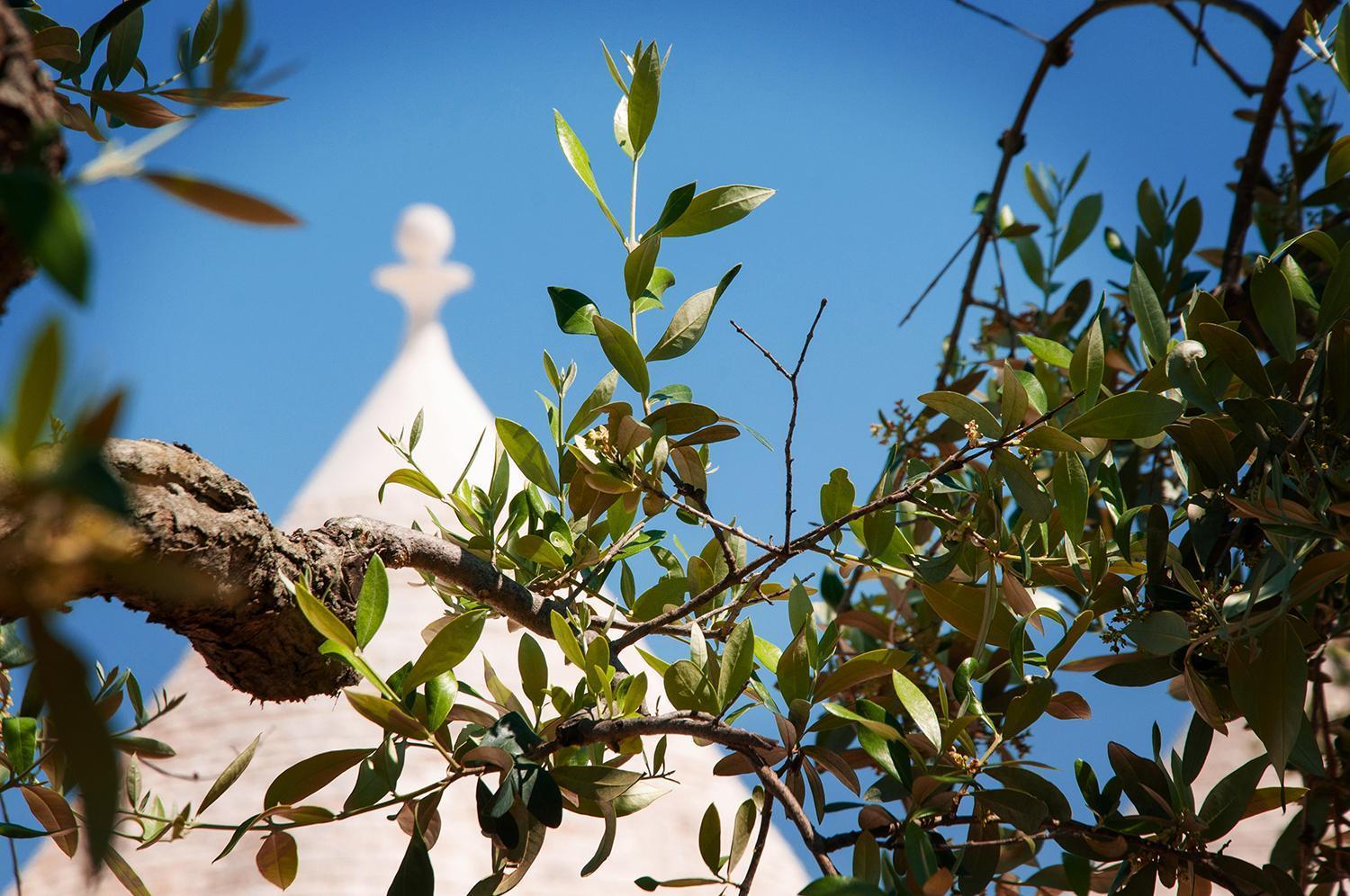 Trulli Loco Villa Локоротондо Екстериор снимка